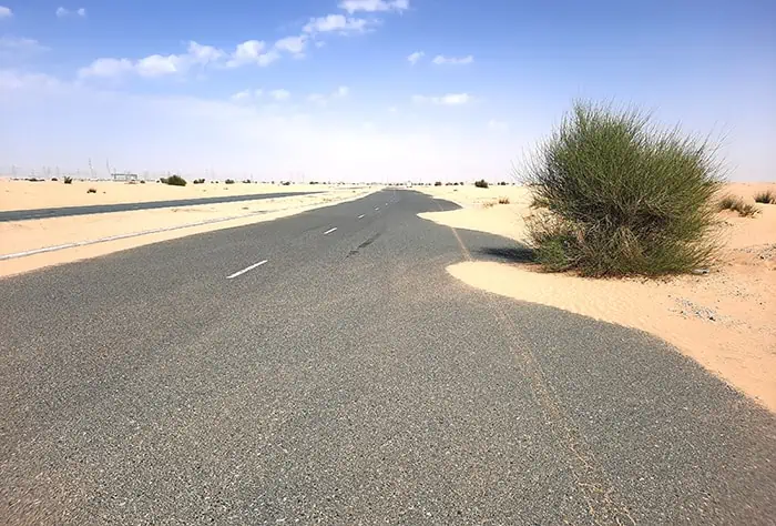 Half Desert Dubai United Arab Emirates 6