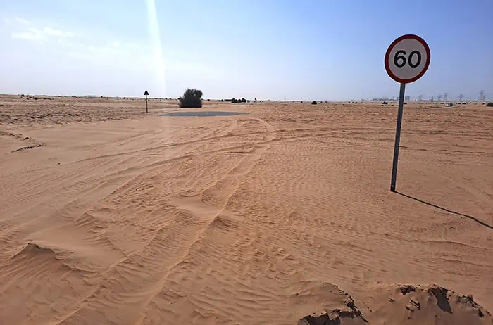 Half Desert Dubai United Arab Emirates 8