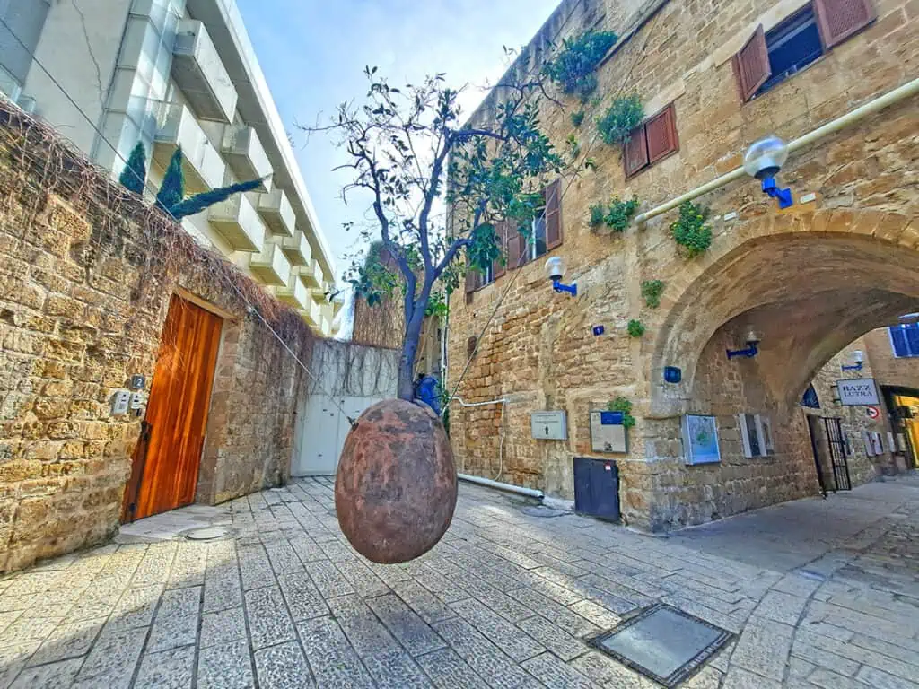 Jaffa Suspended Orange Tree Tel Aviv Israel 3