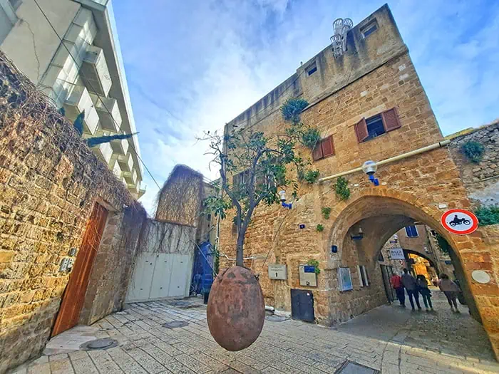 Jaffa Suspended Orange Tree Tel Aviv Israel 4