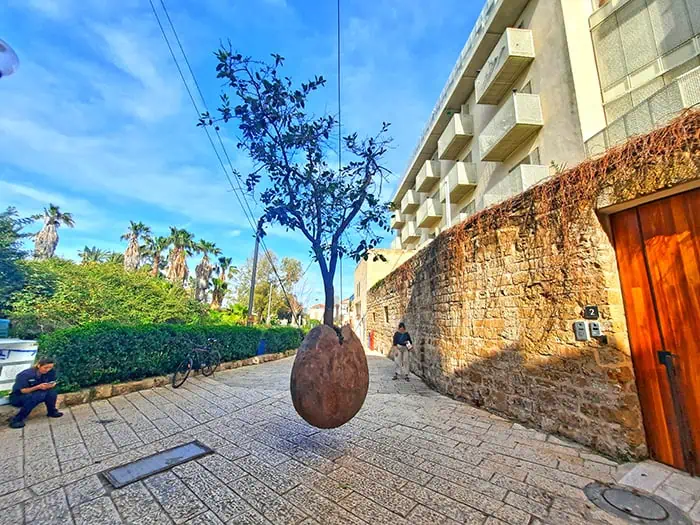Jaffa Suspended Orange Tree Tel Aviv Israel 7