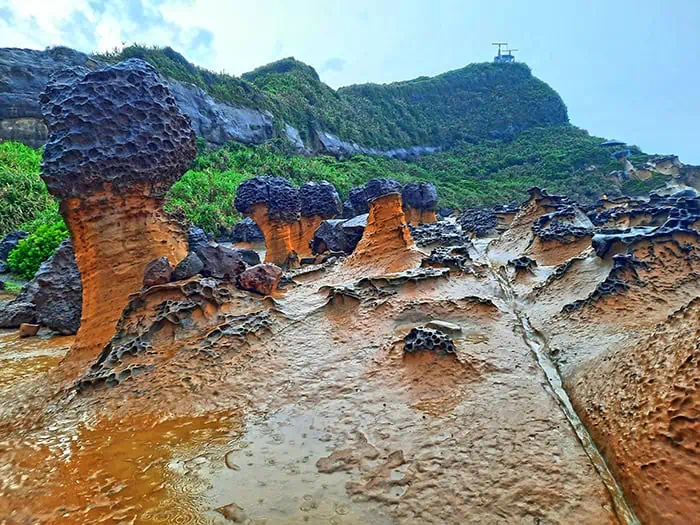 Yehliu Geopark Taiwan 3