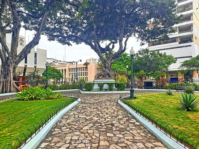 Parque Seminario Guayaquil Ecuador 11