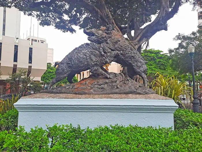 Parque Seminario Guayaquil Ecuador 12
