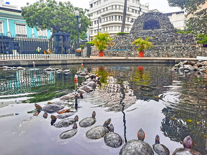 Parque Seminario Guayaquil Ecuador 5