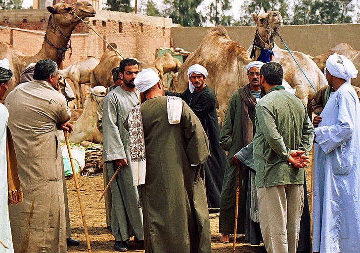 Birqash Camel Market Cairo Egypt 1