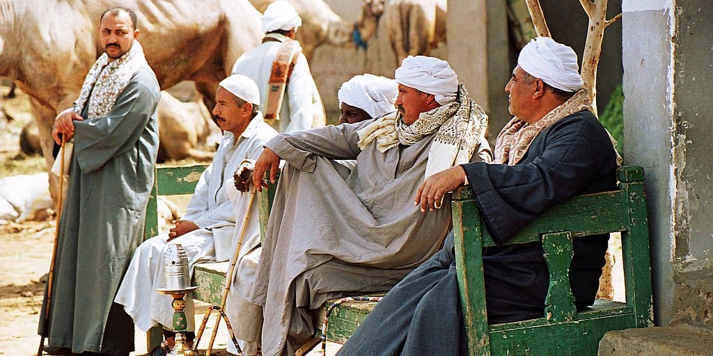 Birqash Camel Market Cairo Egypt 2