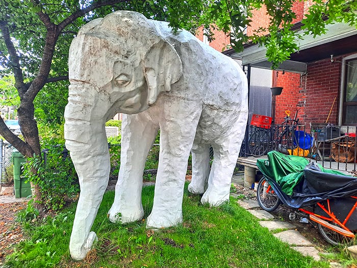 Elephant House Toronto Ontario Canada 1