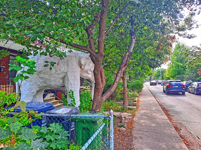 Elephant House Toronto Ontario Canada 5