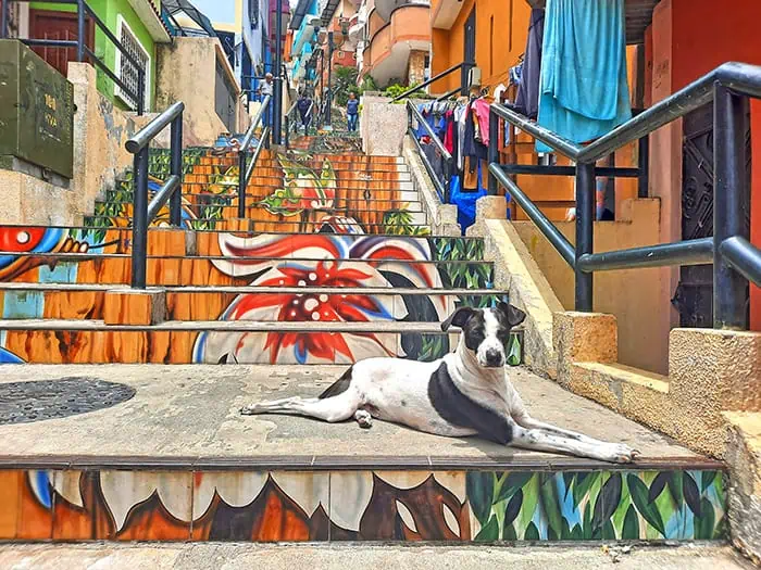 Escalinata Santo Domingo de Guzman Guayaquil Ecuador 5