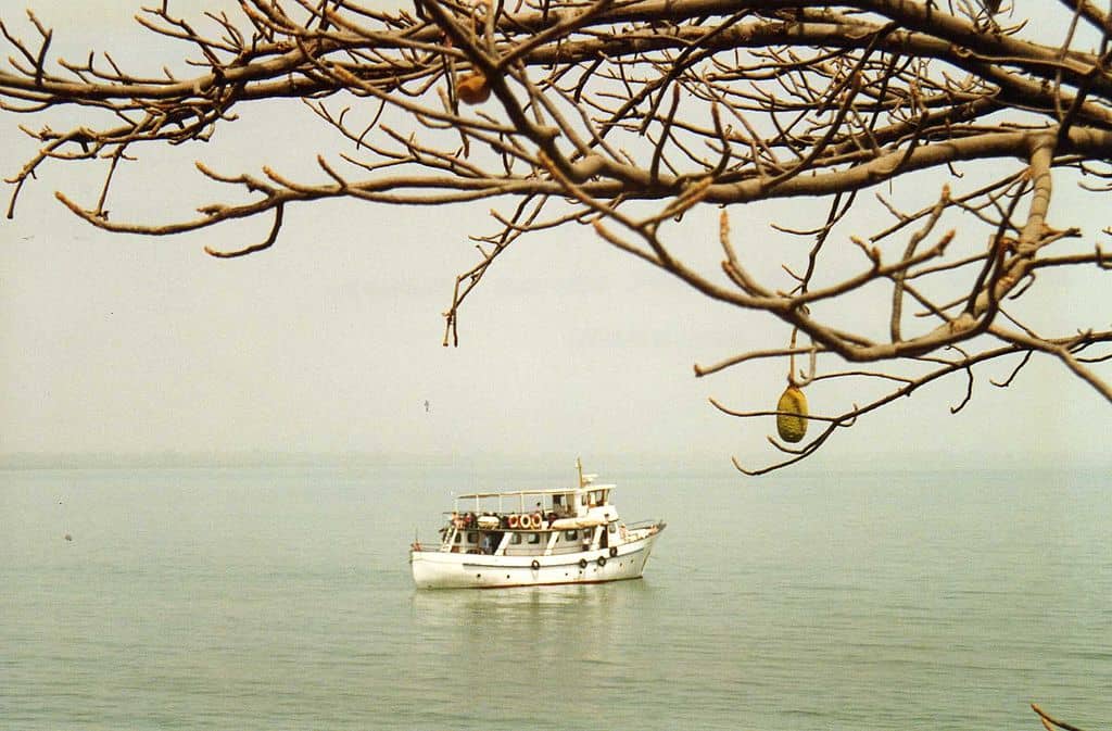 James Island Kunta Kinteh Island Gambia 2