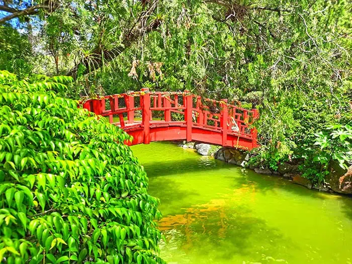 Japanese Garden Jardin Japones Santo Domingo Dominican Republic 11