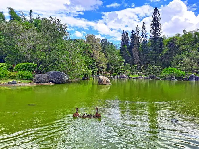 Japanese Garden Jardin Japones Santo Domingo Dominican Republic 4