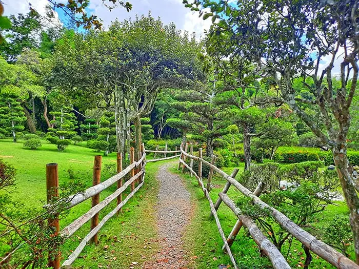 Japanese Garden Jardin Japones Santo Domingo Dominican Republic 8