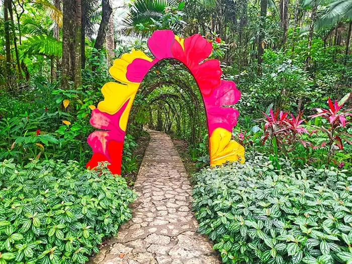 Pico Isabel de Torres Puerta Plata Dominican Republic 7
