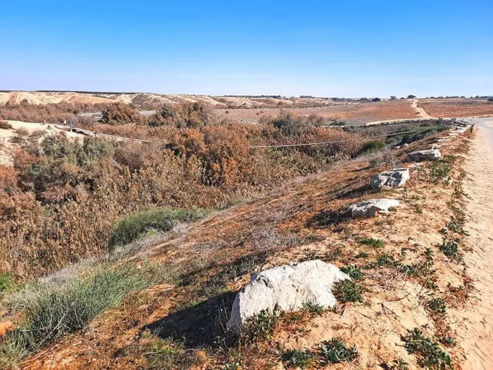 Suspension Bridge Nahal HaBesor Stream Israel 1