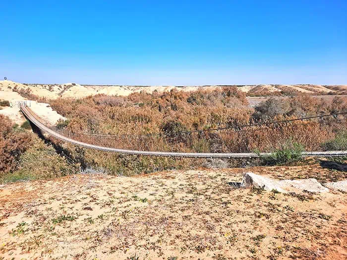 Suspension Bridge Nahal HaBesor Stream Israel 2