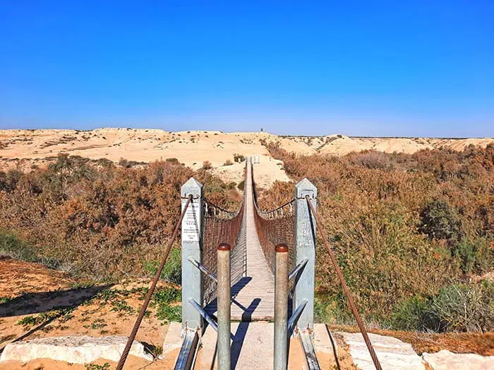 Suspension Bridge Nahal HaBesor Stream Israel 3