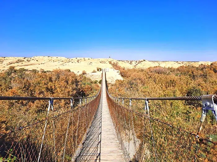 Suspension Bridge Nahal HaBesor Stream Israel 4
