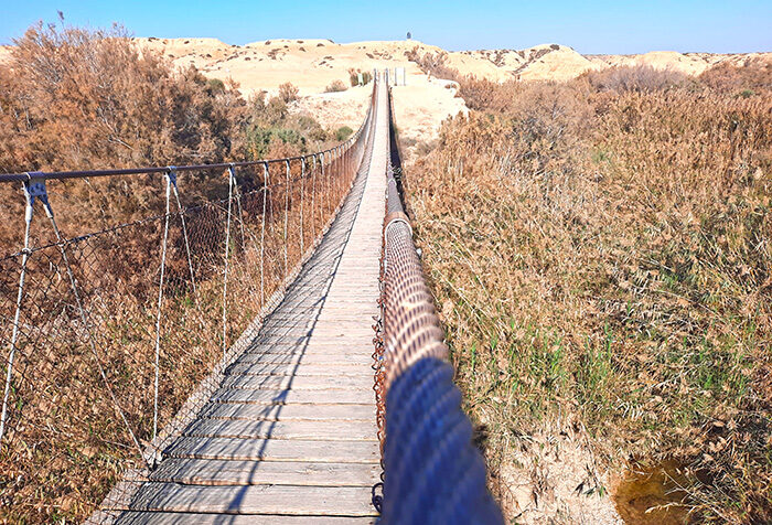 Suspension Bridge Nahal HaBesor Stream Israel 5