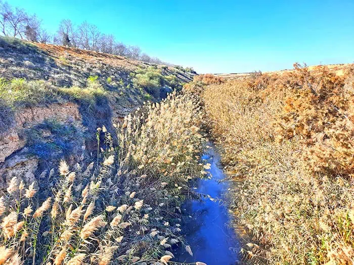 Suspension Bridge Nahal HaBesor Stream Israel 6