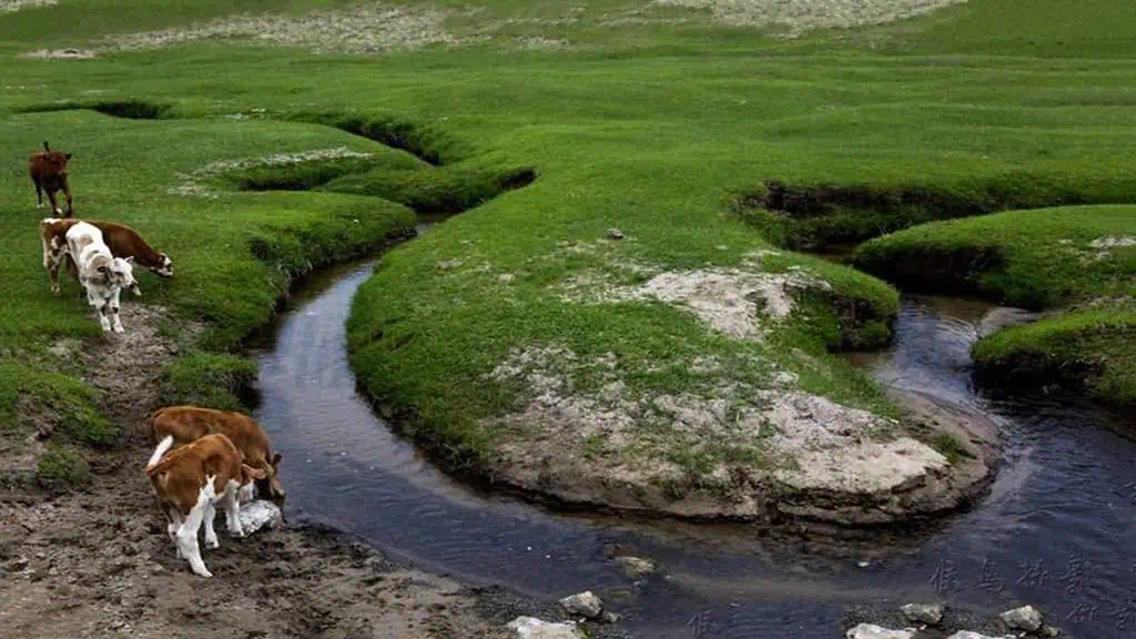 Haolai River China narrowest river in the world 4