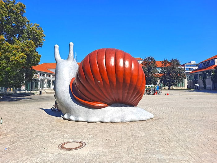 Sweet Brown Snail Munich Germany 2