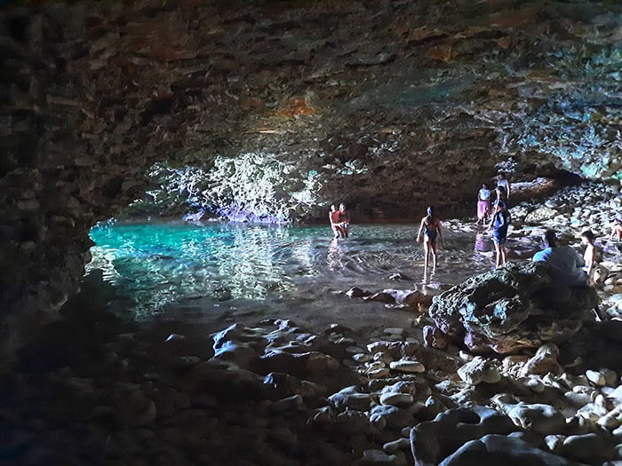 Animal Flower Cave Barbados 9