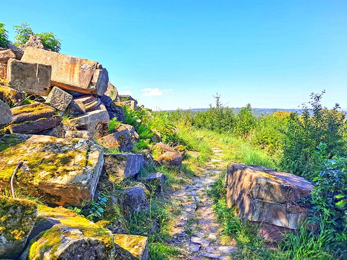 Birkenkopf Stuttgart Germany 15