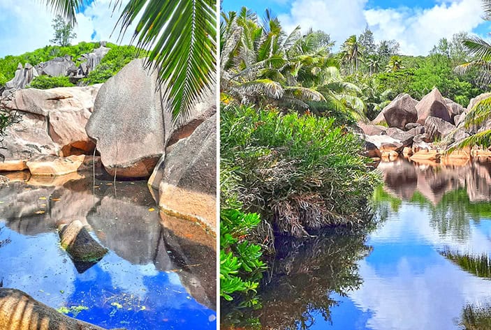 la digue seychelles marsh