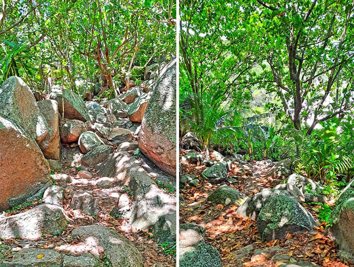 la digue seychelles path to petite anse