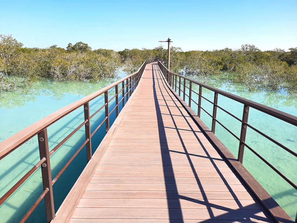 Jubail Mangrove Park Abu Dhabi UAE 3